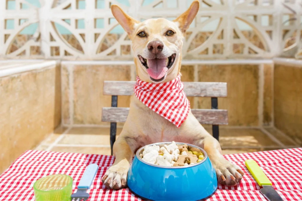 Dog-Friendly Restaurants